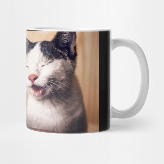 Kitty LoL by Stupid Coffee Designs
